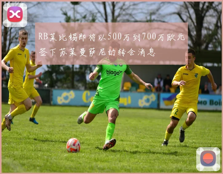 RB莱比锡即将以500万到700万欧元签下苏莱曼萨尼的转会消息