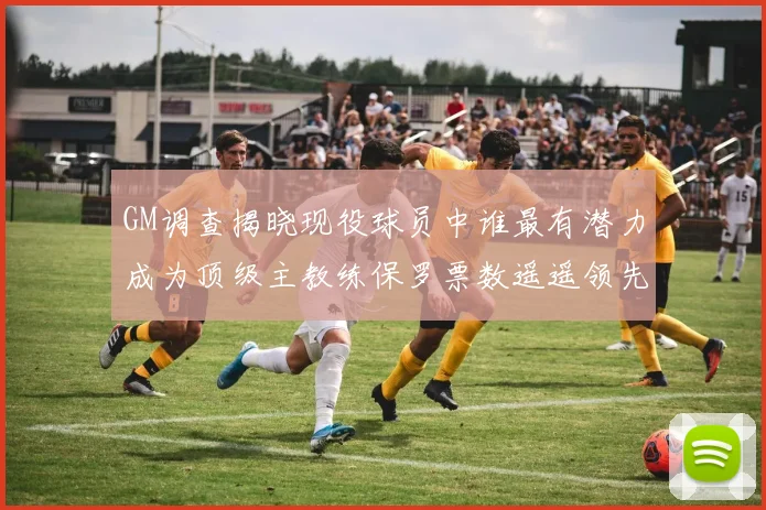 GM调查揭晓现役球员中谁最有潜力成为顶级主教练保罗票数遥遥领先