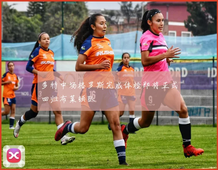 多特中场格罗斯完成体检即将正式回归布莱顿队